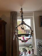 Papagaaien ring, Dieren en Toebehoren, Ophalen, Vogel