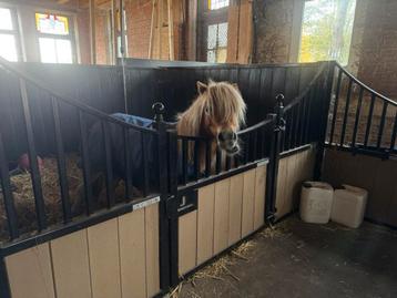 Shetlanderstal luxe box voor a-pony of shetlander aangeboden beschikbaar voor biedingen