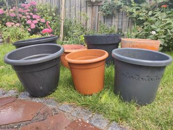 Verschillende bloempotten  beschikbaar voor biedingen