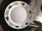 Aquarelle groen boerenbont platte borden ruilen royal boch, Ophalen of Verzenden, Zo goed als nieuw, Bord(en), Overige stijlen