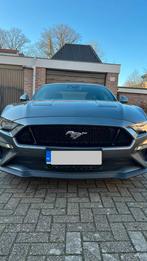 Ford Mustang 5.0 V8 449pk Manual 2021 Grijs, Achterwielaandrijving, 1719 kg, 4 stoelen, Leder