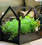 Planten huisjes, Tuin en Terras, Ophalen, Zo goed als nieuw