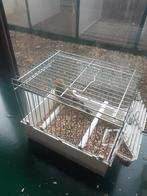 Bastaard te koop!!, Ophalen, Aluminium, Vogelkooi