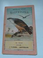 Roofvogels De Valk - J Vlieger Amsterdam, Boeken, Verzenden, Gelezen, Prentenboek