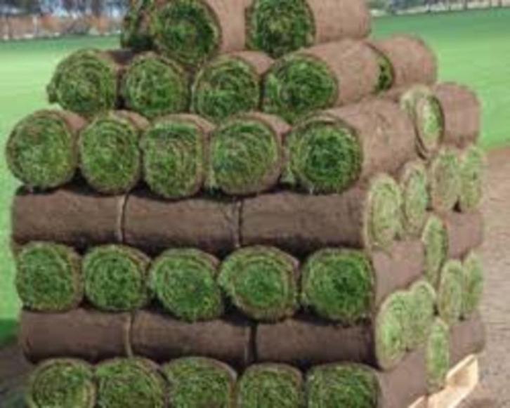 Graszoden, goede kwaliteit.  Levering 25 September., Tuin en Terras, Gras en Kunstgras, Nieuw, Gras, 20 m² of meer, Ophalen