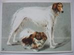 K88 Ansichtkaart met honden (Barzoi en Pekingees), Verzenden, 1980 tot heden, Gelopen, Hond of Kat