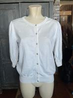 Studio anneloes top maat M, Kleding | Dames, Blouses en Tunieken, Ophalen of Verzenden, Gedragen, Maat 38/40 (M)