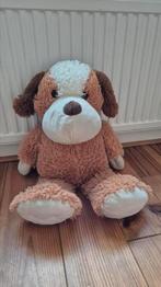 Grote knuffel - hond, Ophalen of Verzenden, Zo goed als nieuw, Hond