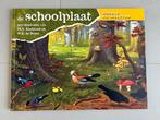 De Schoolplaat Vogels en Insecten, Ophalen of Verzenden, Nieuw