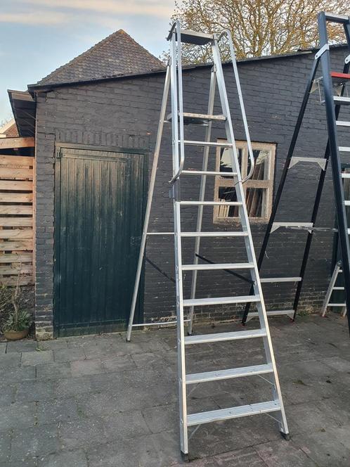 Hoge trap  voor kersen of fruit plukken, Tuin en Terras, Planten | Fruitbomen, Lente, Ophalen
