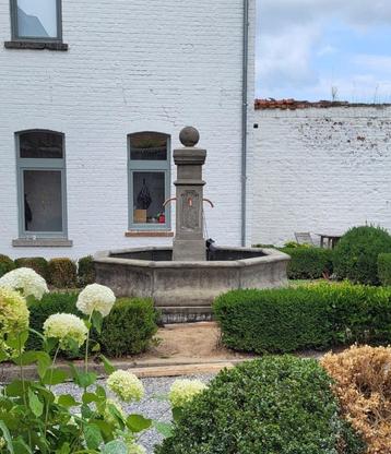 Antiek look Franse dorpsfontein beschikbaar voor biedingen