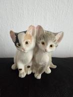 2 Lieve Kittens, Ophalen of Verzenden, Zo goed als nieuw, Dier