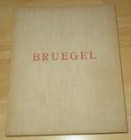 Bruegel - De Schilderijen van Pieter Bruegel Den Oude, Boeken, Ophalen of Verzenden, Gelezen, Architecten