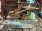 Karat 60 Ferplast Hamster/knaagdieren kooi L59xB39xH52cm, Kooi, Gebruikt, Minder dan 75 cm, Hamster
