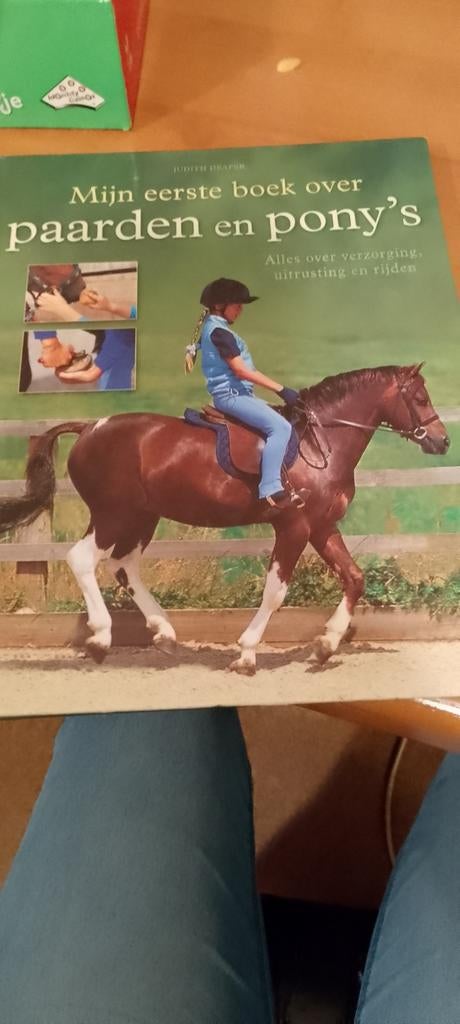 Debbie Hogewind - Eigen paard, Ophalen of Verzenden, Zo goed als nieuw, Debbie Hogewind