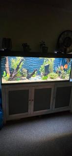 Juwel rio 450 netjes !, Dieren en Toebehoren, Vissen | Aquaria en Toebehoren, Ophalen of Verzenden, Nieuw, Verlichting of Verwarming