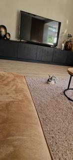 Erg lief konijn ter overname, Dieren en Toebehoren, Konijnen, Vrouwelijk, Middelgroot, 3 tot 5 jaar