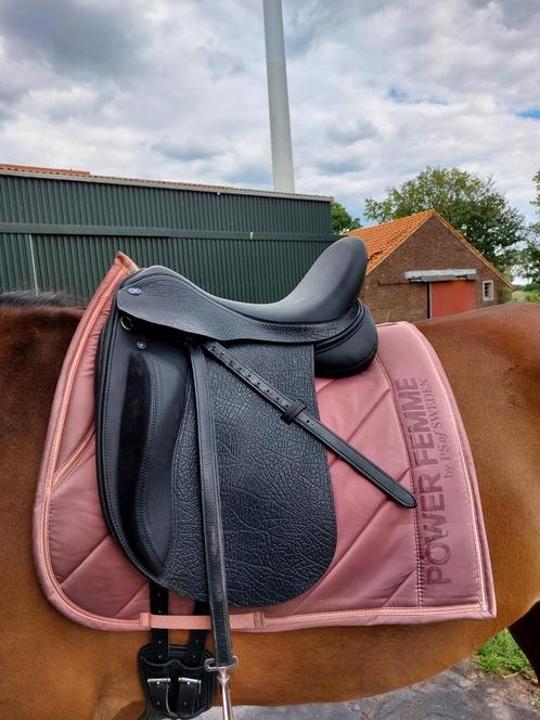 Zadelpasservice, nieuwe en tweedehands zadels., Dieren en Toebehoren, Paarden en Pony's | Zadels, Nieuw, Ophalen