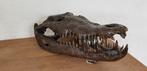 Brons / SCHEDEL van een KROKODIL / nieuw!! / OPRUIMING, Ophalen of Verzenden, Nieuw, Wild dier, Schedel