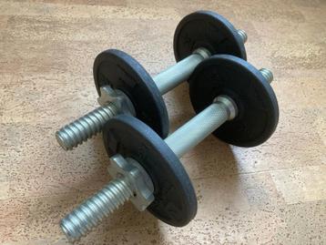 Corength dumbbells beschikbaar voor biedingen