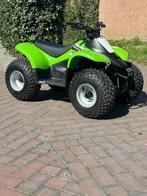 Kawasaki KFX50 bj. 2006, 1 cilinder, 50 cc