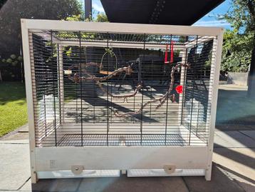 Vogelkooi Giulietta 5 beschikbaar voor biedingen