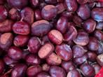 Verse Tamme Kastanjes te Koop!, Diversen, Levensmiddelen, Ophalen of Verzenden