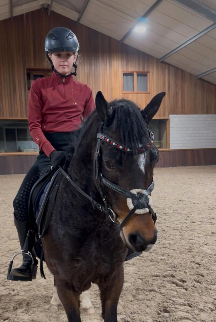 Brave sportpony, Dieren en Toebehoren, Pony's, Ruin, B, C pony (1.27m tot 1.37m), Springpony, 3 tot 6 jaar, Met stamboom, Gechipt