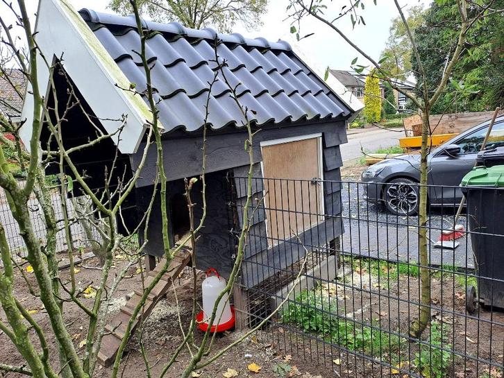 Kippenhok (3 jaar oud), Dieren en Toebehoren, Pluimvee | Toebehoren, Gebruikt, Kippenhok of Kippenren, Ophalen