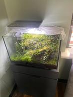 SF Quadro 70 compleet, Ophalen of Verzenden, Zo goed als nieuw, Gevuld zoetwateraquarium