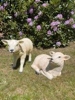 (Tuin)Beeld set Texel schaap lammetje, tuin, boerderij, Ophalen, Nieuw, Kunststof, Dierenbeeld