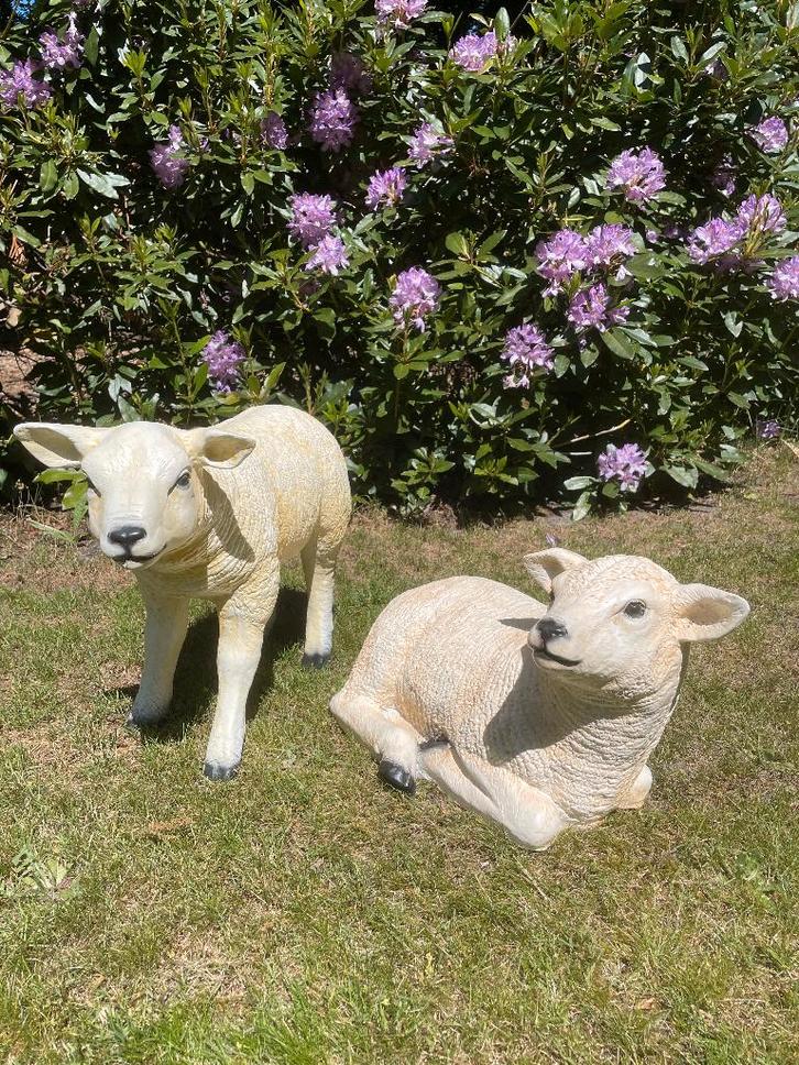 (Tuin)Beeld set Texel schaap lammetje, tuin, boerderij, Tuin en Terras, Tuinbeelden, Nieuw, Dierenbeeld, Kunststof, Ophalen