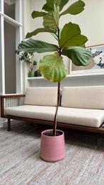 Serax bloempot roze keramiek voor binnen - diameter 28, Huis en Inrichting, Ophalen, Overige soorten, Minder dan 100 cm