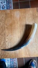 Grote koehoorn / koeien hoorn, Ophalen of Verzenden, Zo goed als nieuw