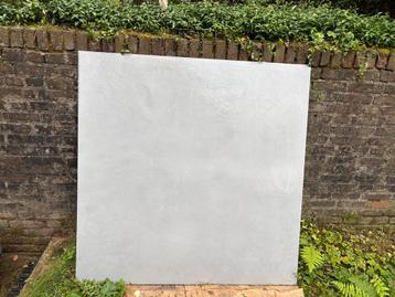 Licht grijze badkamertegels 1200x1200x9 mm beschikbaar voor biedingen
