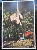 6 Prent/fotobriefkaarten voor het kind "Prinsekinderen", Ophalen of Verzenden, Zo goed als nieuw, Nederland, Kaart, Foto of Prent