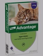 Advantage 2 pipetten anti vlo vlooien GROTE KATTEN, Dieren en Toebehoren, Ophalen of Verzenden, Zo goed als nieuw