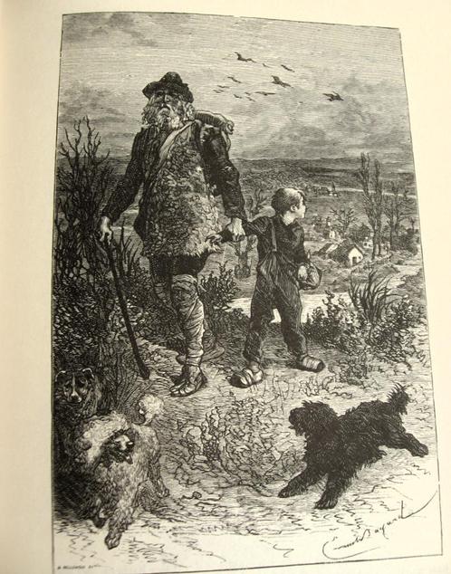 Alleen op de wereld, Hector Malot  ICOB 1982, Antiek en Kunst, Antiek | Boeken en Bijbels, Ophalen of Verzenden