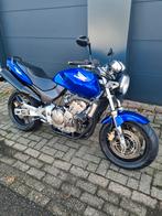 Honda Hornet 600, Particulier, Naked bike