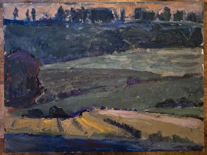 P.C. Kuiper schilderij – De Ploeg stijl – 60 x 80 cm, Antiek en Kunst, Kunst | Schilderijen | Klassiek, Ophalen of Verzenden