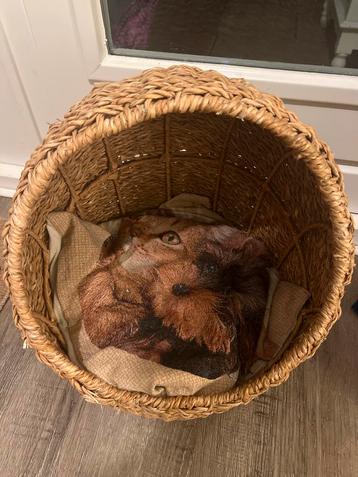 Rieten Mand - Opslag of Decoratie beschikbaar voor biedingen