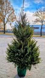 Kerstbomen, Ophalen, ., Nieuw, .