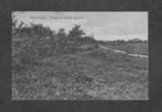 Appelbergen Glimmen Bosch en Heide Gezicht., Verzamelen, Ansichtkaarten | Nederland, Ophalen of Verzenden, Voor 1920, Gelopen