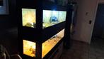 Osb3 terrarium RepHouSZ. Ook maatwerk, Ophalen, Nieuw, Terrarium of Paludarium