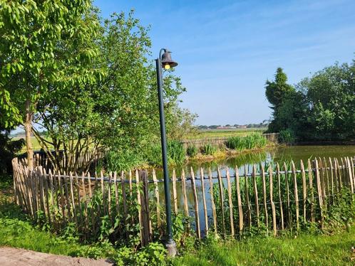 Gezocht! 🐟 VISSEN voor in enorme vijver!, Dieren en Toebehoren, Vissen | Vijvervissen, Goudvis(sen)