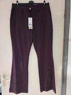 Nieuw & co woman andcowoman and cowoman xxl penelope paars, Kleding | Dames, Ophalen of Verzenden, Nieuw, Maat 46/48 (XL) of groter