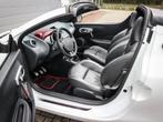 Renault Wind 1.2 TCE Collection | Clima | Cruise | Leer | 17, Voorwielaandrijving, Euro 5, 101 pk, Gebruikt