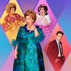 Musical Hairspray 15 mei 2026 Tilburg, Tickets en Kaartjes, Twee personen, Mei