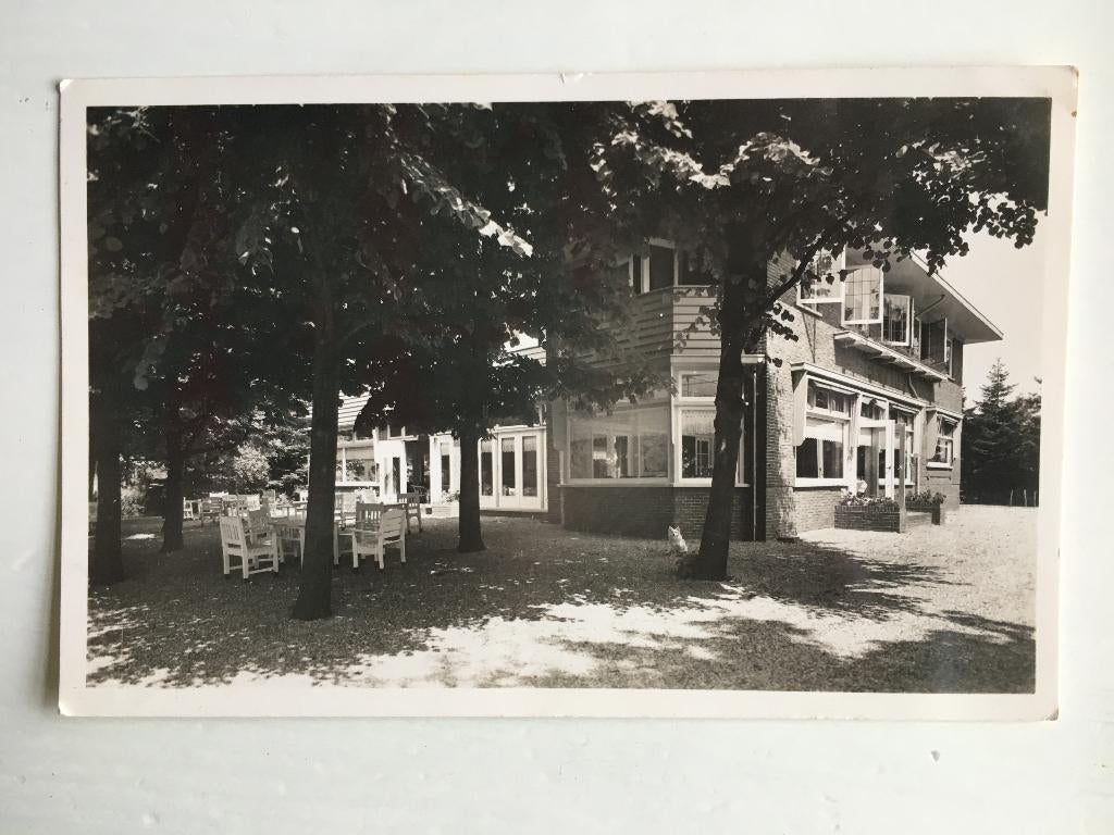 Ansichtkaart Uddel - Vakantieoord Bos en Hei, Verzamelen, Ophalen of Verzenden, 1940 tot 1960, Gelopen, Gelderland