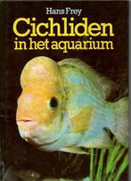 Aquarium Cichliden, Ophalen of Verzenden, Vissen, Hans Frey, Zo goed als nieuw